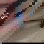 Bluetooth