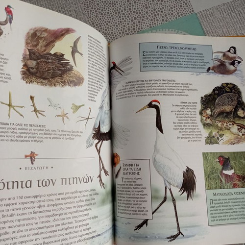 Great Children's Encyclopedia Animal Kingdom 1 used