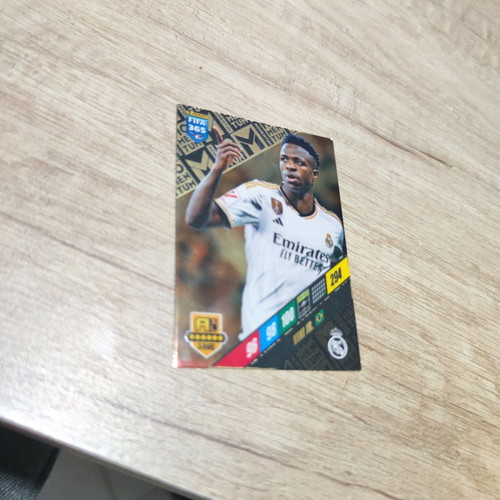 Momentum Vinicius Panini Adrenalyn XL 2024 used