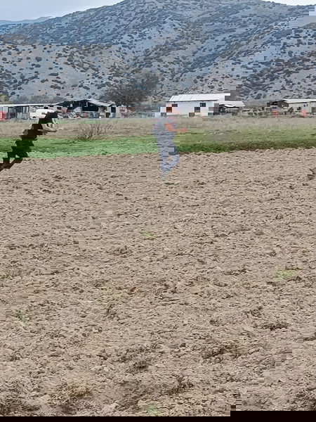 Πωλείται χωράφι 3000 τ.μ. με νόμιμη αποθήκη 330 τ.μ. στα Δελέρια Τυρνάβου