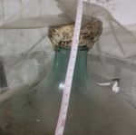 Very large demijohn