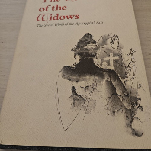 The Revolt of the Widows by Stevan Davies used, sociology book