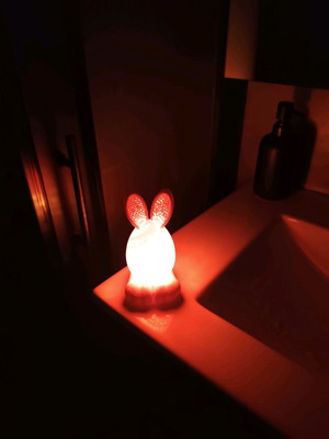 3D Printed Easter Decorative Bunny Lamp New