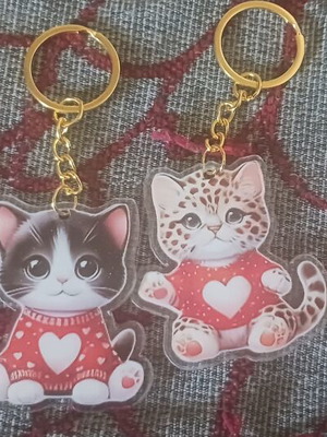 Set of 4 cat keychains, colorful