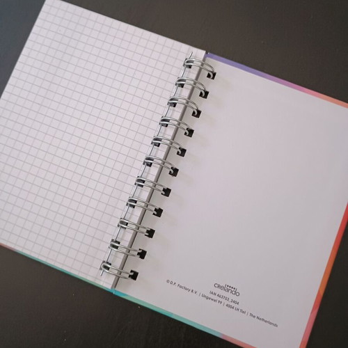 Spiral notebooks like new, pack of 2, pages with boxes
