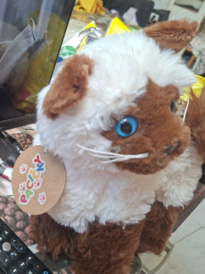 Large Siamese Plush Toy New