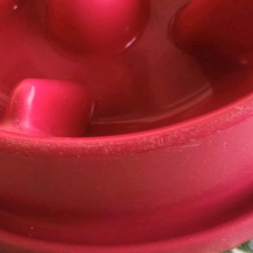 Slow feeder bowl used, medium size, fuchsia