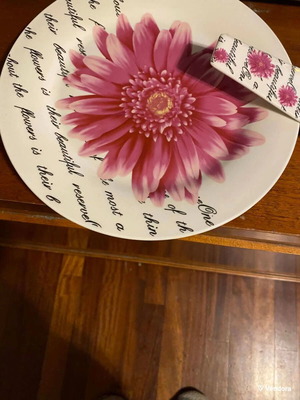 Cake set like new, 27cm plate and spatula