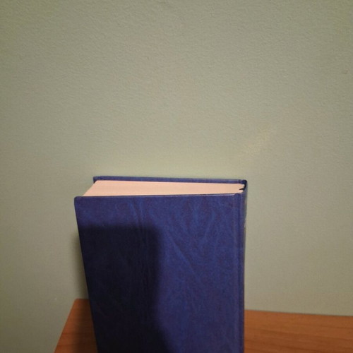 Homer Iliad like new National Geographic edition