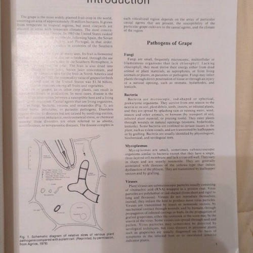 Compedium of Grape Diseases book like new