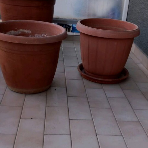 Flower pots three large with simple saucer and saucer with wheels