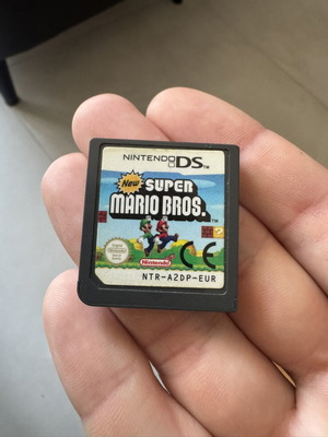 Super Mario Bros Nintendo DS game