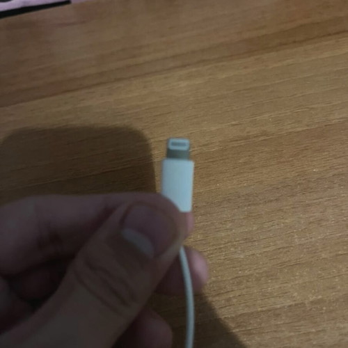 Apple earbuds