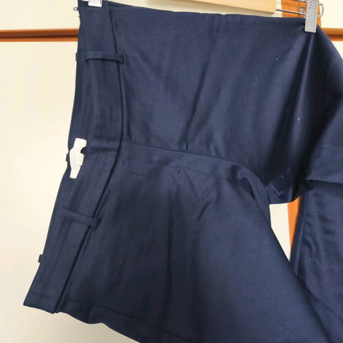 H&M women's blue pants satin texture five-pocket size L like new