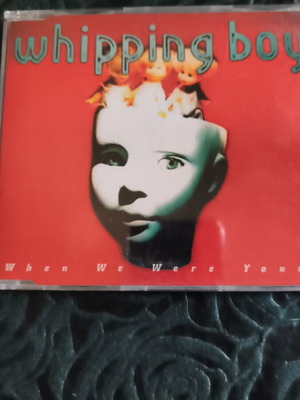 Whipping Boy When We Were Young Promo CD Single like new, rock