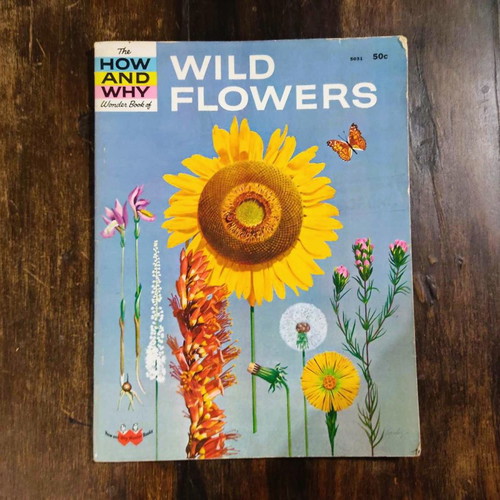 Wild Flowers 1962 book used, English edition
