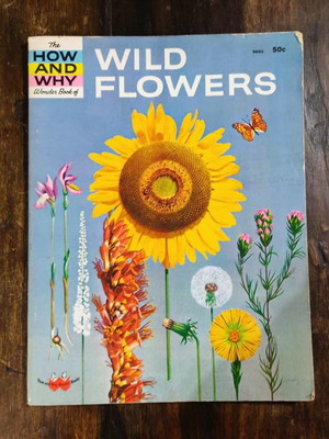 Book The How and Why Wonder Book of Wild Flowers 1962 used