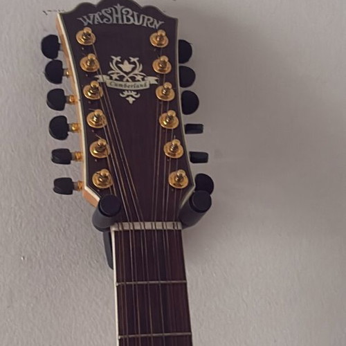 Washburn 12 String Acoustic Guitar New with Hard Case