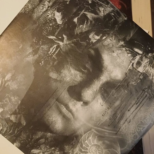 Paradise Lost Draconian Times double LP used, metal