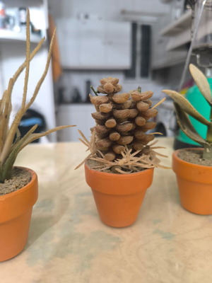 Decorative cactus in small ceramic pot like new