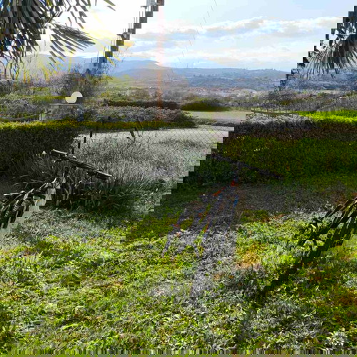 Ποδήλατο Sector Thor 29" σαν καινούργιο, μαύρο, με δισκόφρενα και μπροστινή ανάρτηση