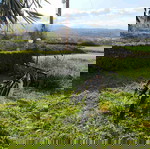 Ποδήλατο Sector Thor 29" σαν καινούργιο, μαύρο, με δισκόφρενα και μπροστινή ανάρτηση