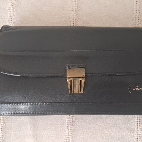 Handbag organizer used with multiple compartments