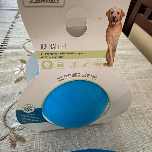 Zoofari Ice Ball Large dog toy