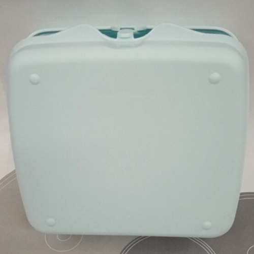 Δοχείο τοστ Tupperware Lion King καινούργιο