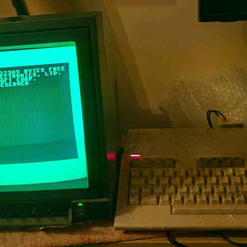 Philips VS0080/00 used RGB monitor 15Hz with speakers and Scart