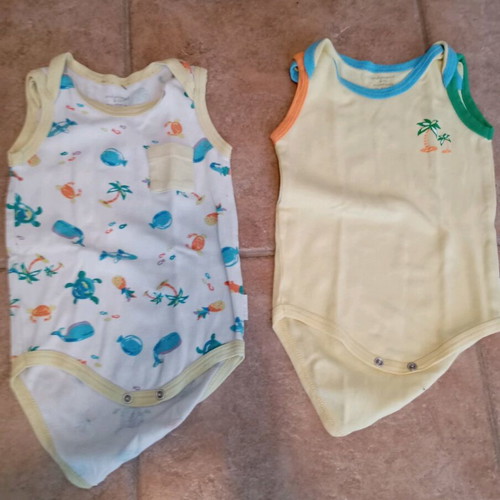 Set of two short-sleeve bodysuits 9 months like new