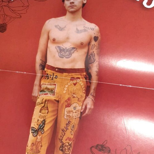 Dua Lipa poster with Harry Styles like new