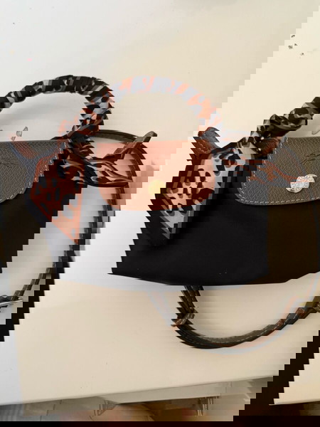 Mini longchamp bag