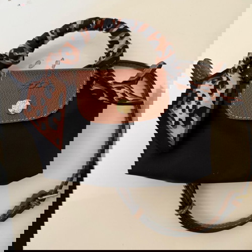 Mini longchamp bag