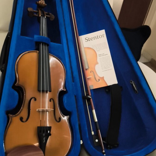 Stendor Student 1 violin with case, bow, bridge and music stand