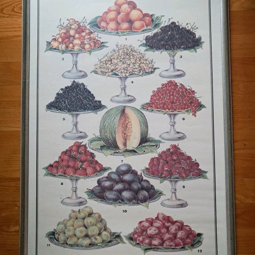 Picture in wooden frame with glass 49x73, like new, decorative fruit painting