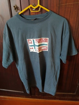 Napapijri T Shirt άριστη κατάσταση, μέγεθος L, γκρι και μπλε