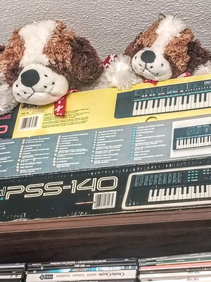 Bontempi ES 4100 harmonium like new