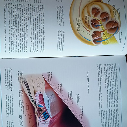 Der Körper des Menschen book like new, German anatomy guide