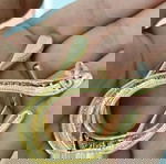  γυναικεία σκουλαρίκια ατσάλι χοντρό