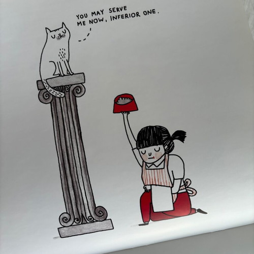 A Cat's Life 2017 Wall Calendar teNeues like new