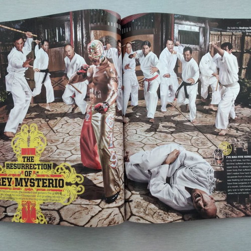 WWE Magazine July 2008 Retro Pro-Wrestling Used