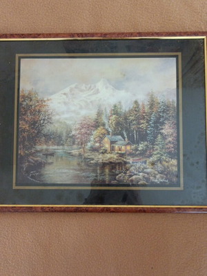 Framed art print like new