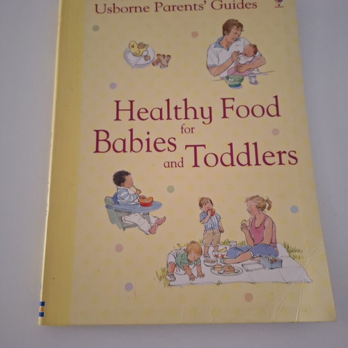 Healthy Food for Babies and Toddlers book like new, English