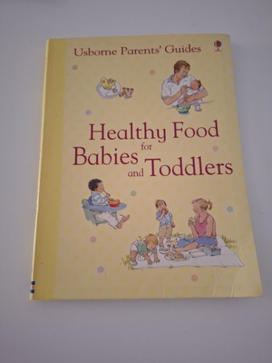 Healthy Food for Babies and Toddlers book like new, English