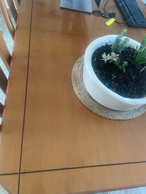 Dining table for 6 used, solid wood with extension