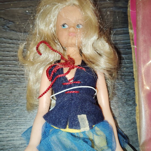 Sebino doll used with wear and damaged packaging