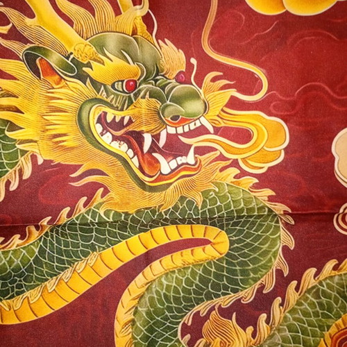 Dragon Pillowcase new, 45x45 cm