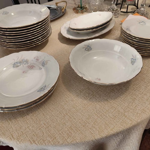 Vintage Czechoslovakia dinnerware set like new
