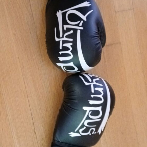 Olympus boxing martial arts gloves 12 Oz like new